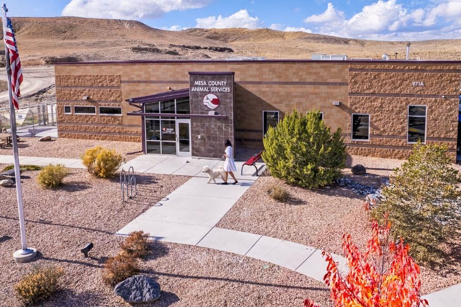 The Mesa County Animal Services building with an American flag in front and a woman walking a white dog. 