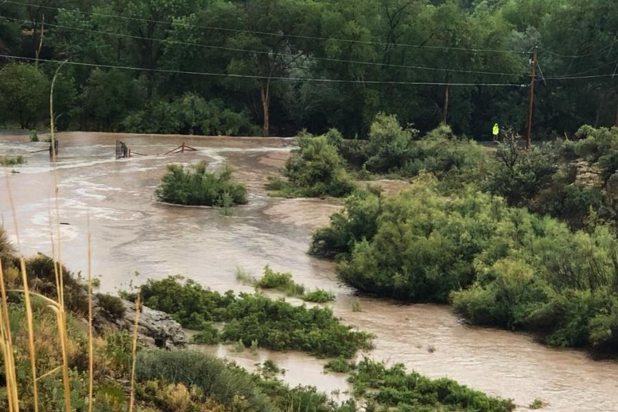 A flooded street near trees and bushes. 