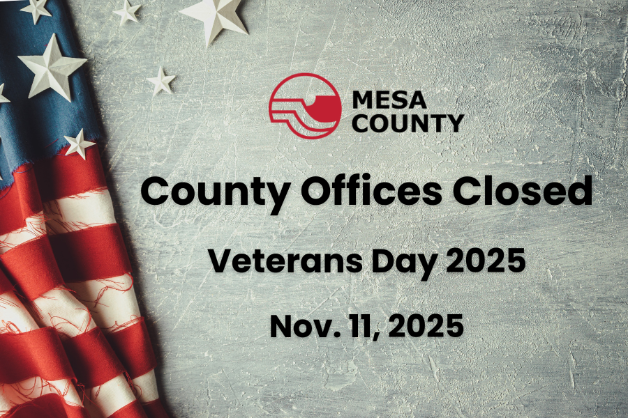 Veterans Day closure